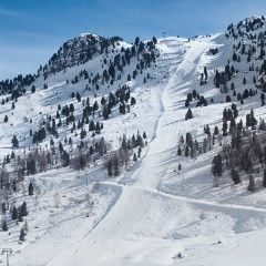 ASgHiZtr09
