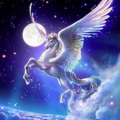 Angelfd1234