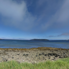 mike_vincent_1979_tx